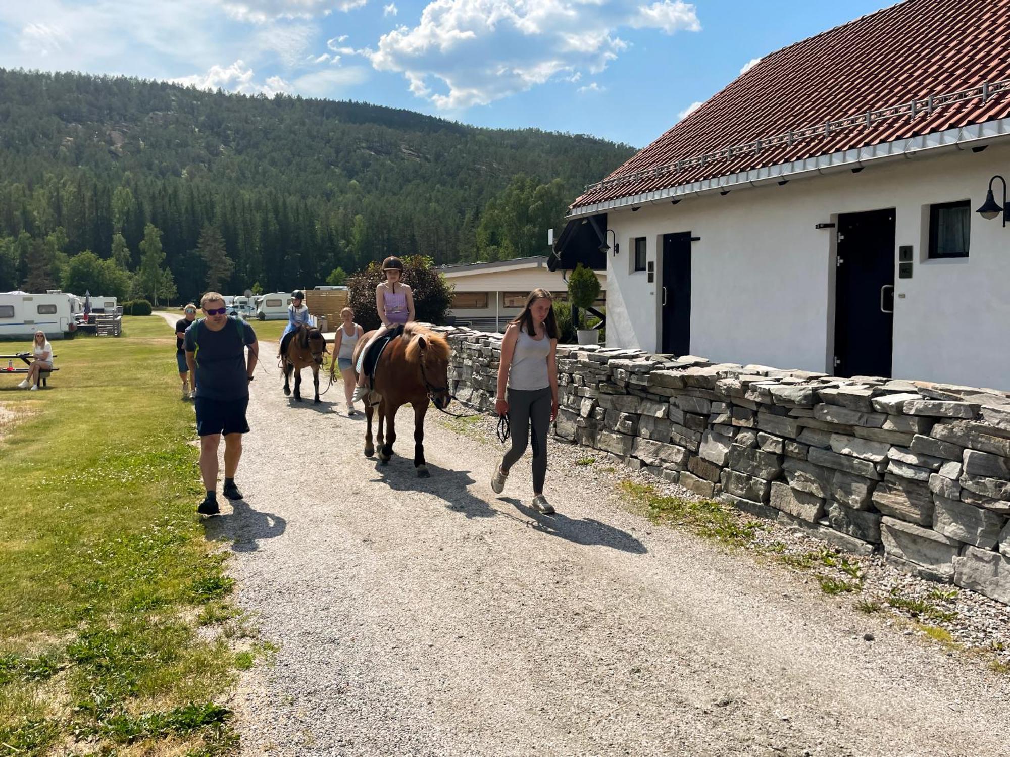 Hegna Camping Seljord Exterior foto